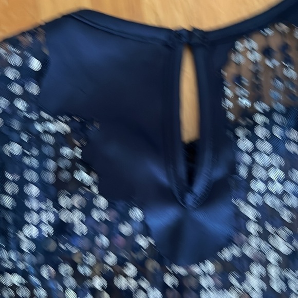 Sheer Navy Blue Whimsagoth Fairy Dress W/ Silver Sequins All Over Size Small - Picture 5 of 6
